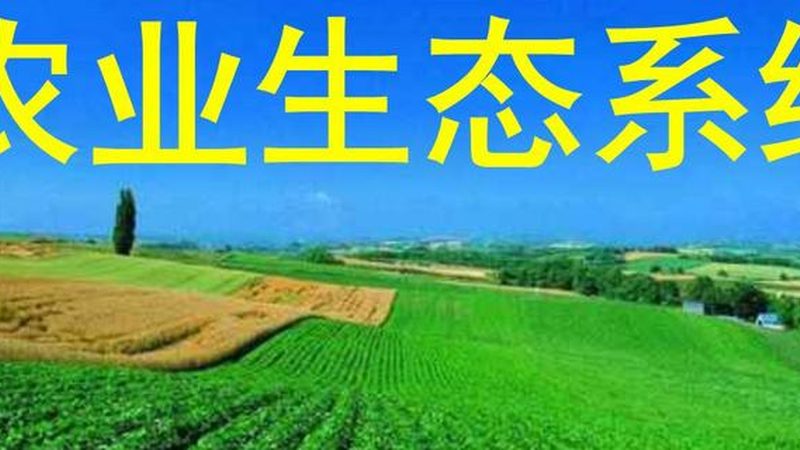 大棚水果种植成本构成解析