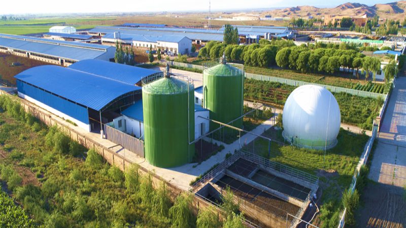 农田土壤质量新规落地，你的地达标了吗