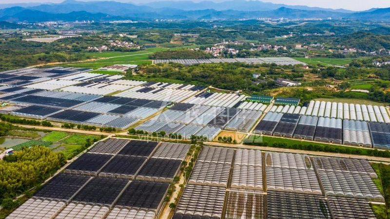 农民专业合作社注销公告撰写要点解析