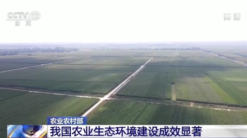 智能温室大棚：价格构成与选型要点