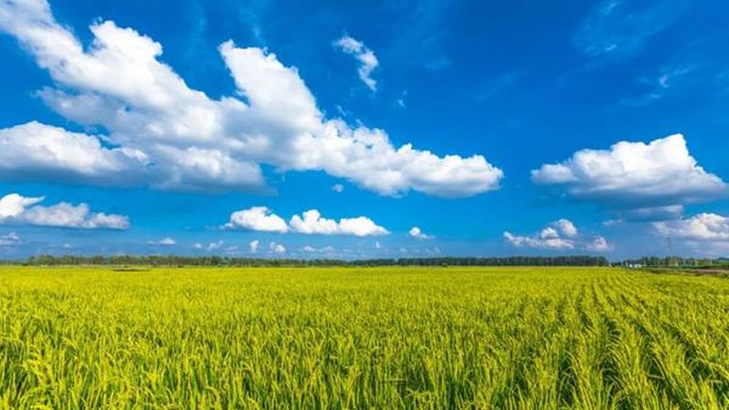 阿克苏苹果种植：气候条件解析与种植要点