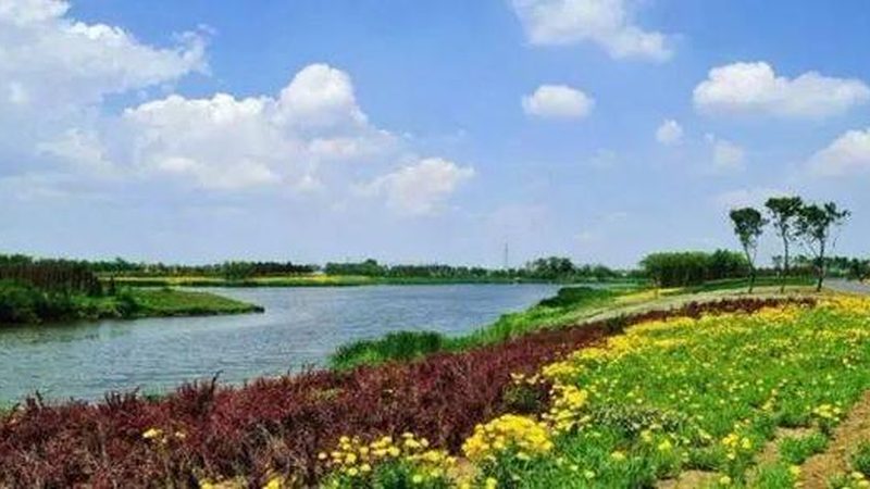 粮食种植公司品牌推荐：选对服务商比选品种更重要