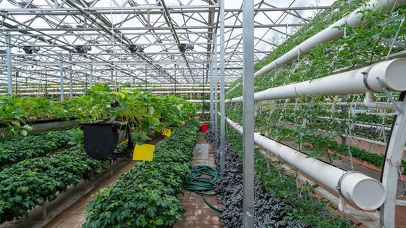 智能农业种植系统：引领现代农业发展的新引擎