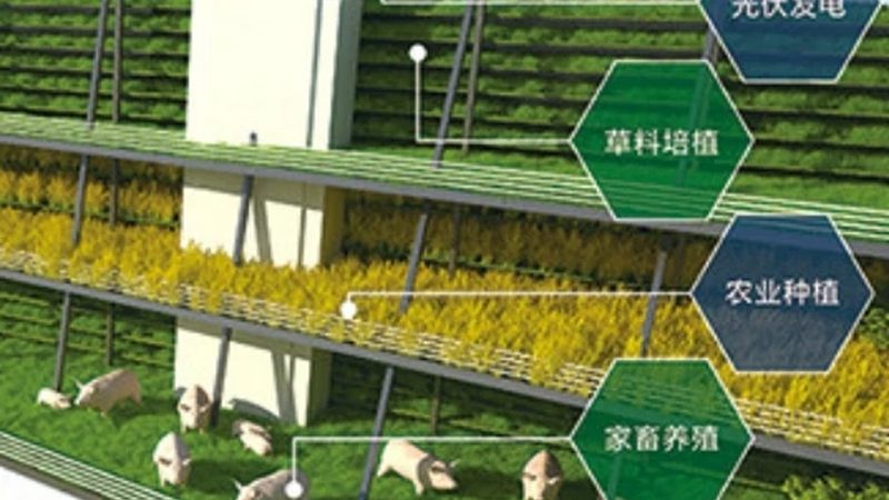 农业产业园给排水工程预算