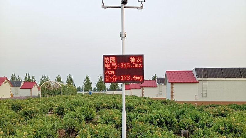 昆虫信息素诱芯，如何选对它？**