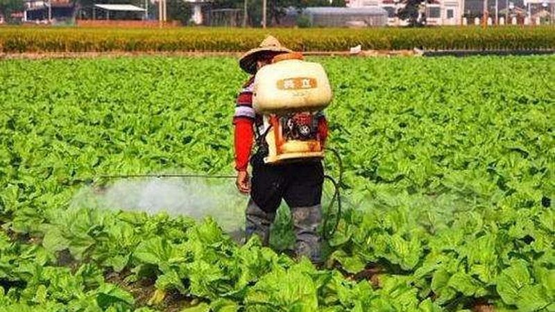 生鲜配送APP开发哪家好